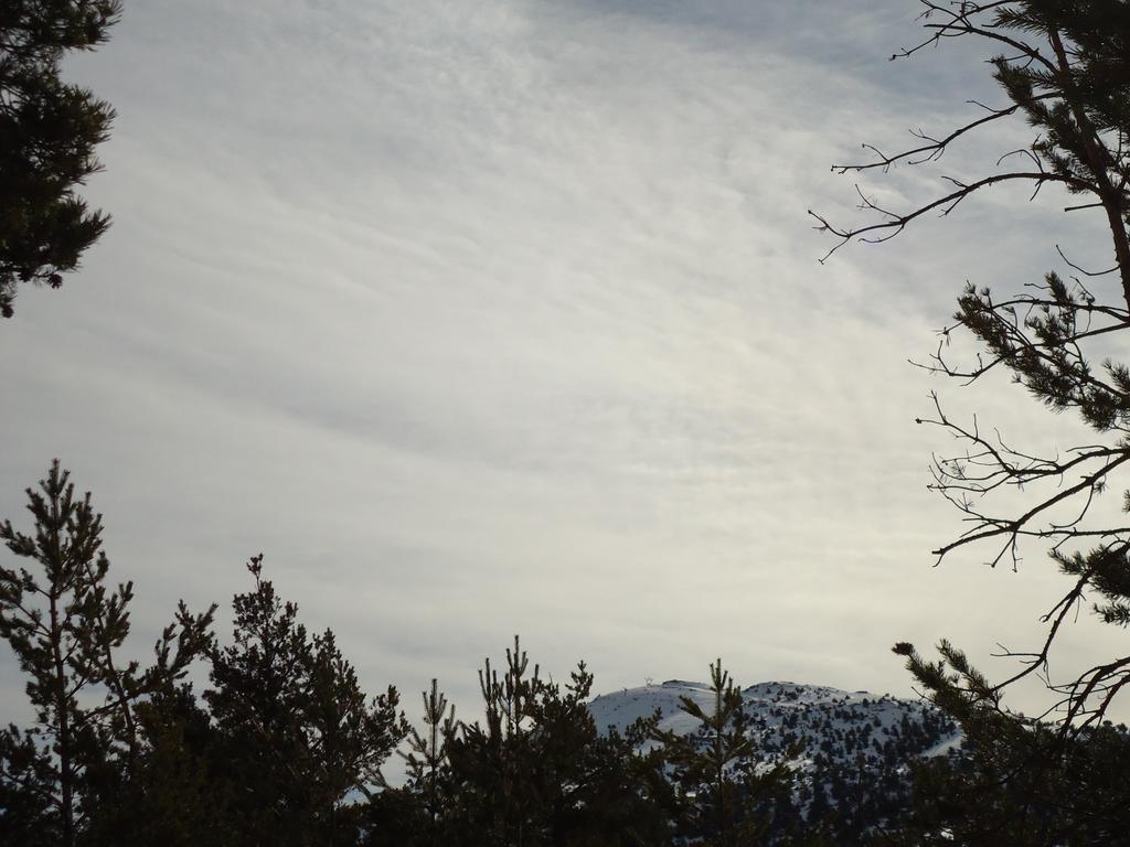 Apartment Face Aux Pistes Greolieres les Neiges Εξωτερικό φωτογραφία