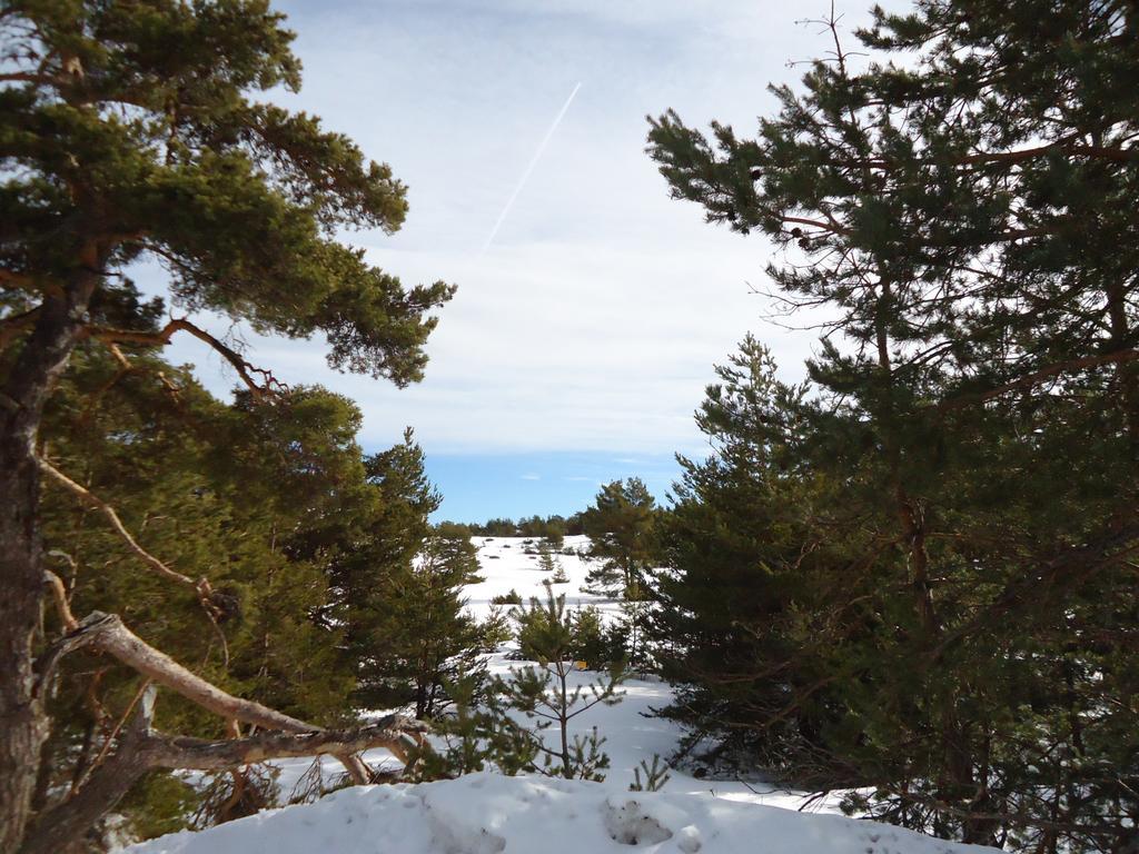 Apartment Face Aux Pistes Greolieres les Neiges Εξωτερικό φωτογραφία